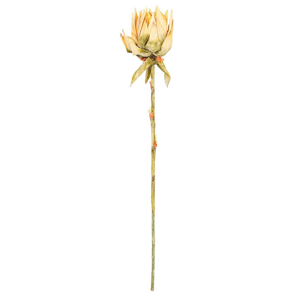 Creme de caule Vickerman Protea para plantas artificiais, 94 cm, pacote com 2