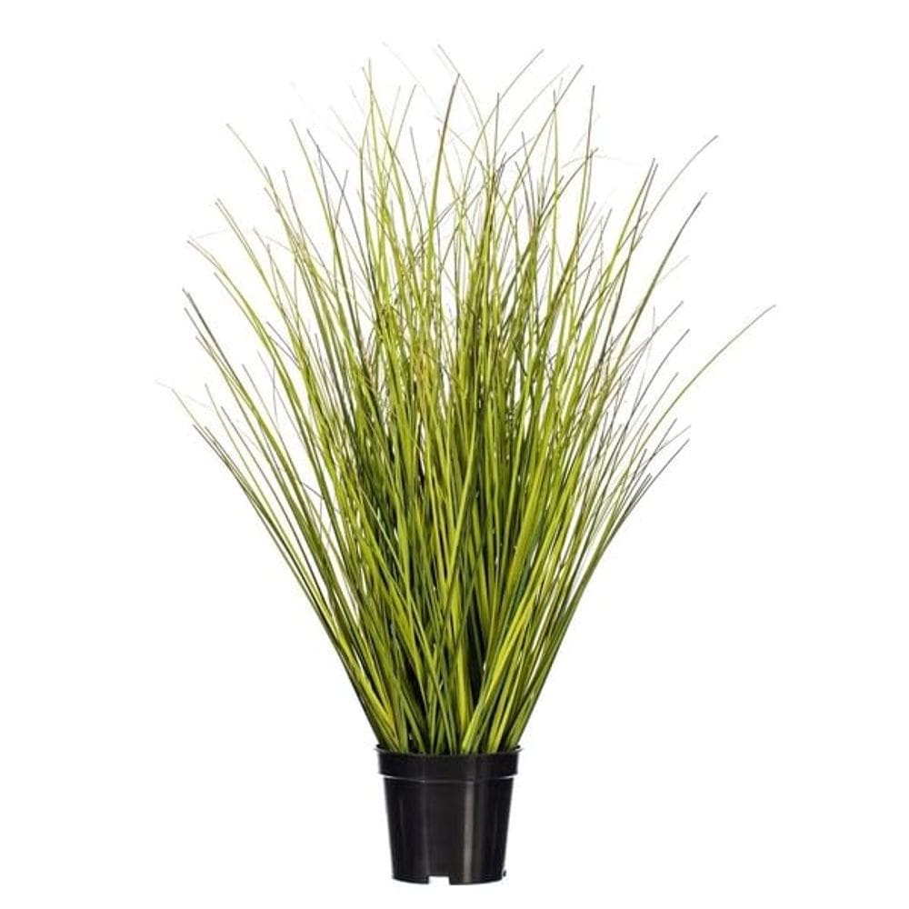 Grama em vaso Vickerman TN252324 61 cm Switchgrass Verde Marrom