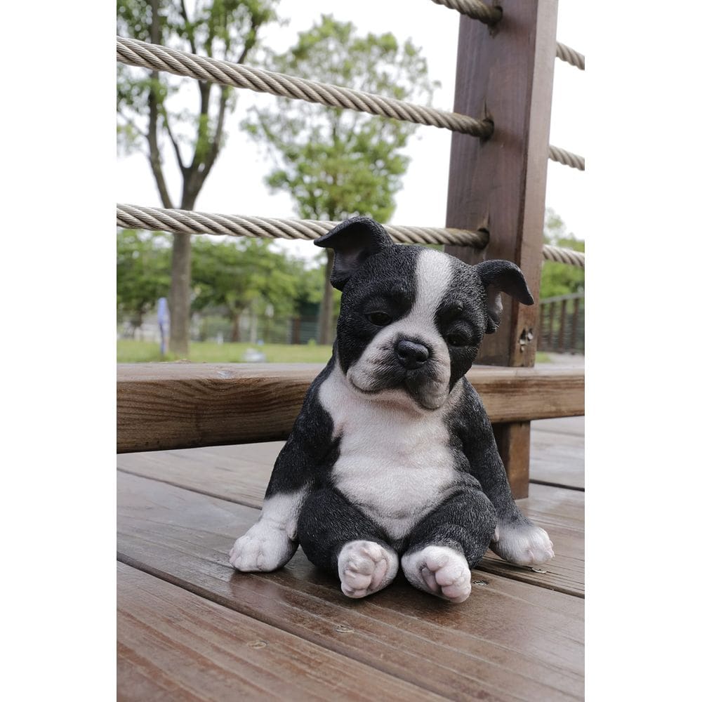 Estátua de poliresina Sculpture Hi-Line Gift Ltd Boston Terrier