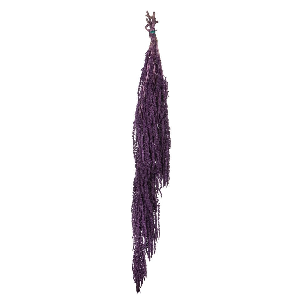 Pacote de amaranto violeta Vickerman para plantas secas com 76 cm de comprimento