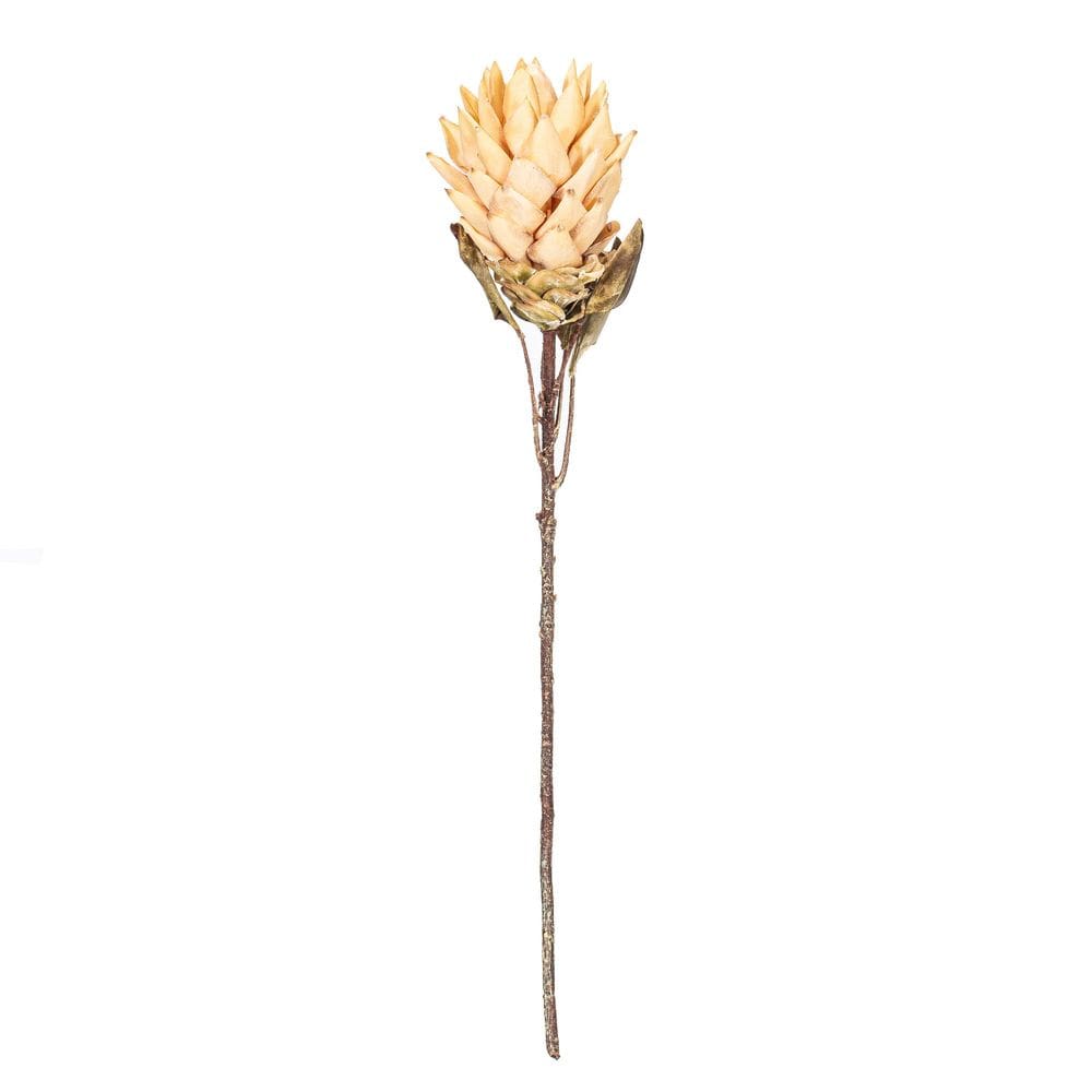 Creme de caule Vickerman Protea para plantas artificiais, pacote com 2 unidades de 77 cm