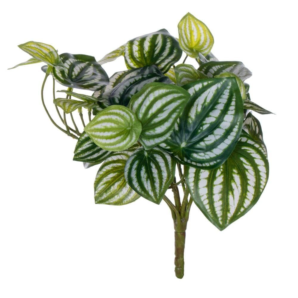 Melancia artificial Peperomia Bush Vickerman 28 cm, pacote com 2