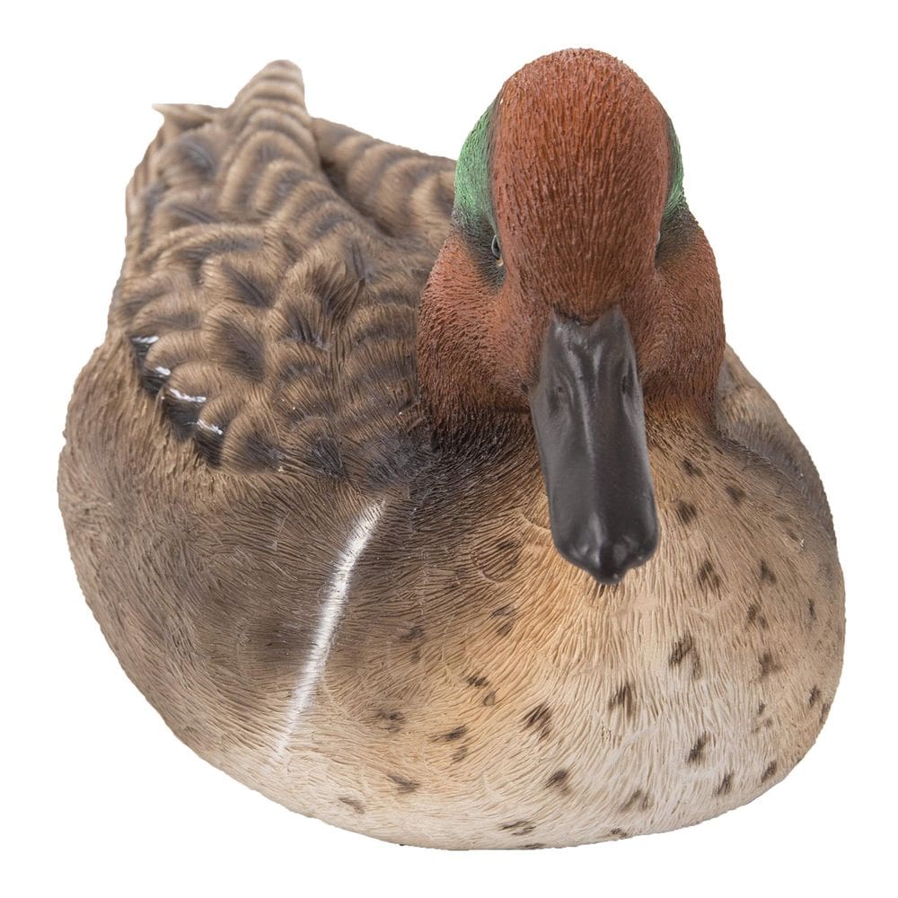Estatueta Hi-Line Gift 87682-A de poliresina de pato-real grande
