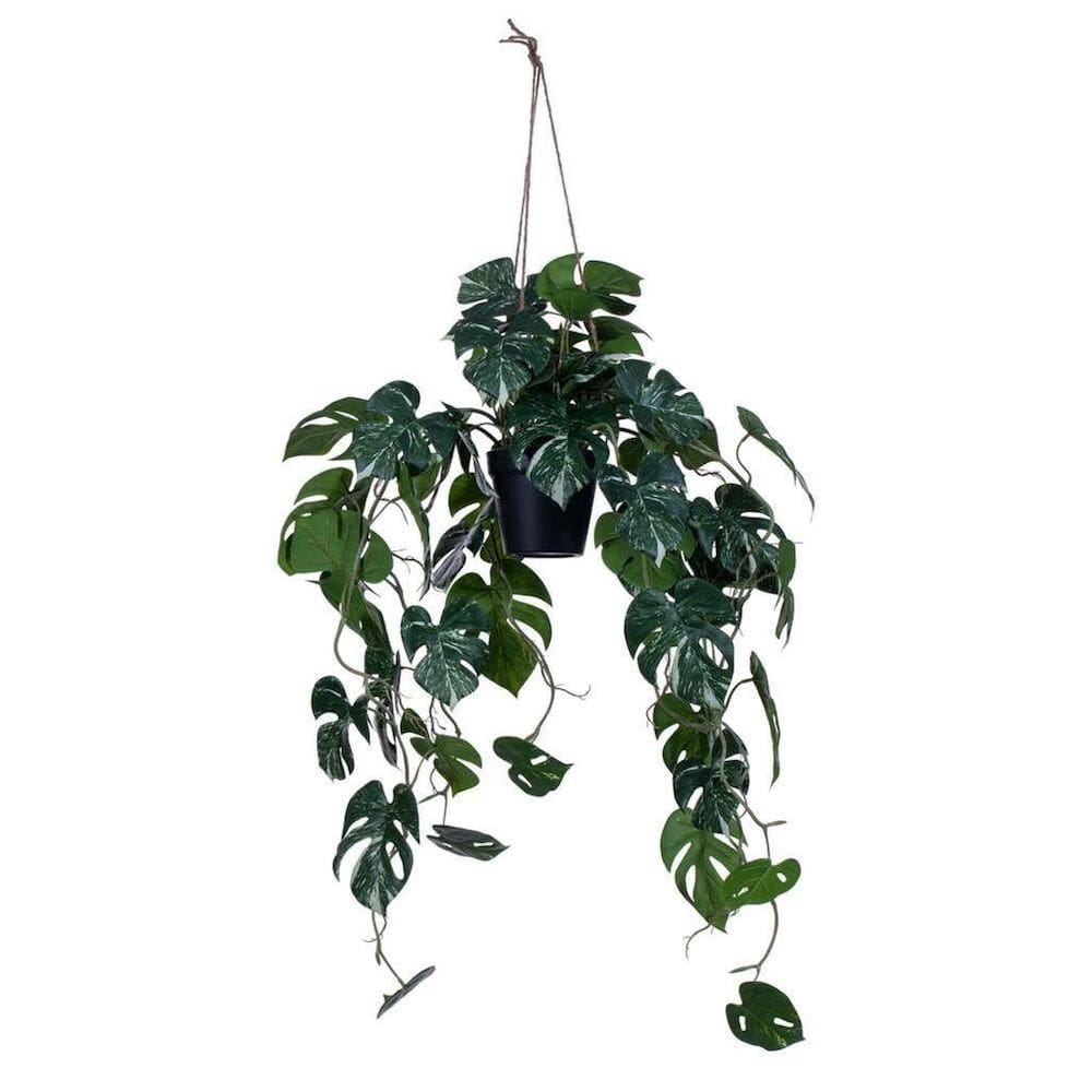Planta Monstera artificial suspensa Vickerman 104 cm verde