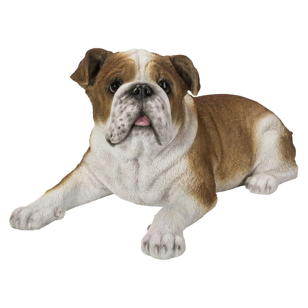 Escultura: presente de alta linha, deitado, buldogue marrom, branco, realista