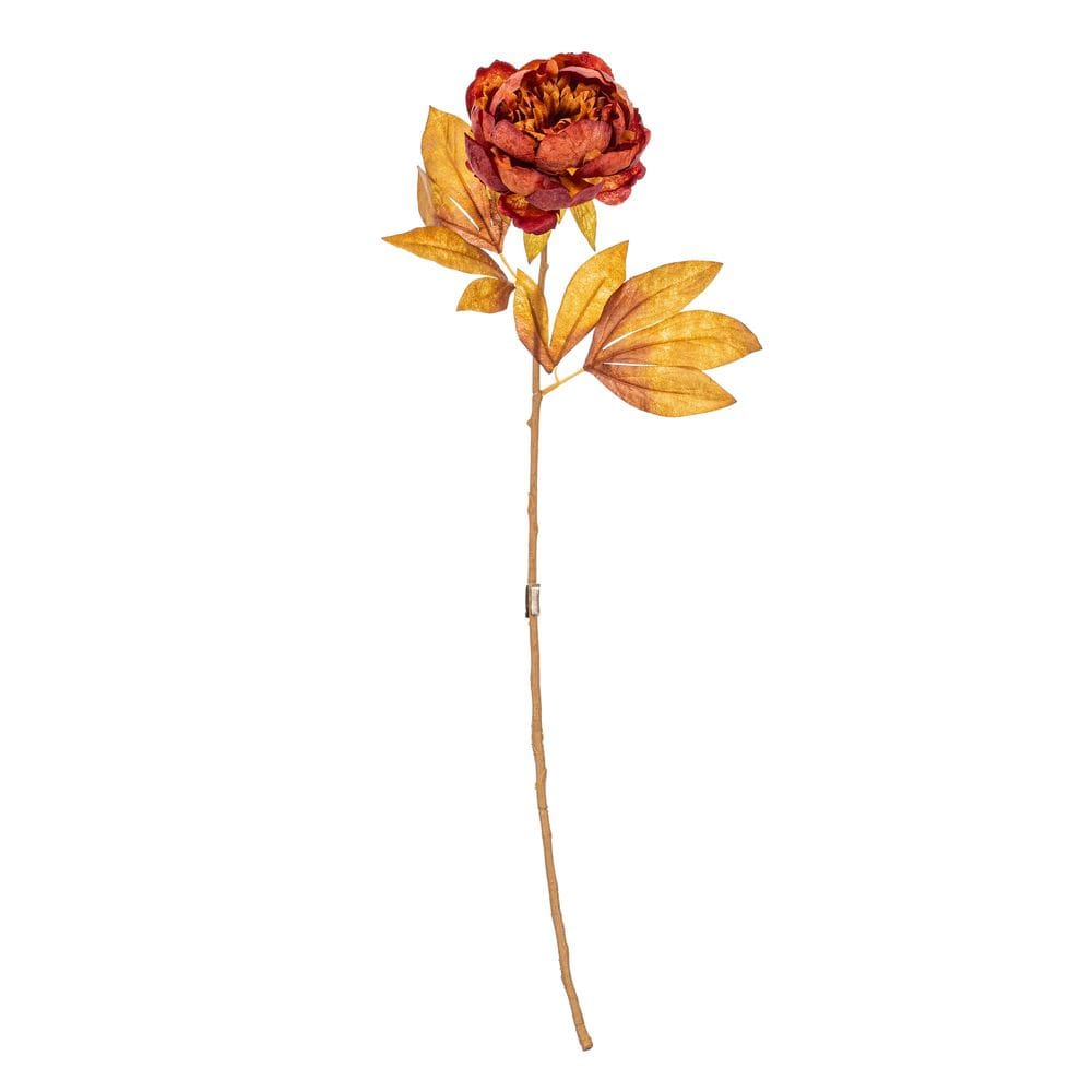 Haste de peônia artificial Vickerman, 53 cm, marrom escuro, pacote com 6