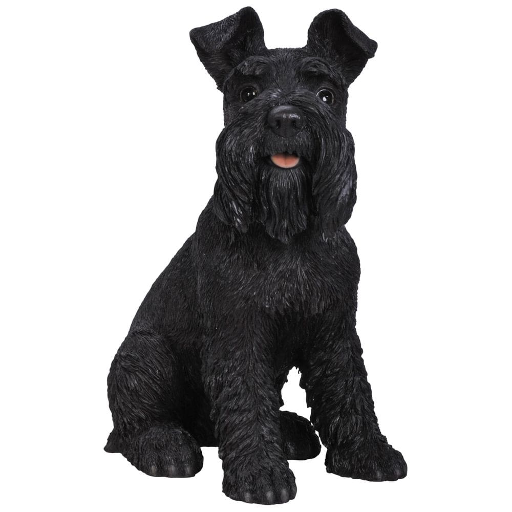 Estatueta Hi-Line Gift Ltd 87983S-BK Schnauzer preto 34x39x22cm 2,5 kg