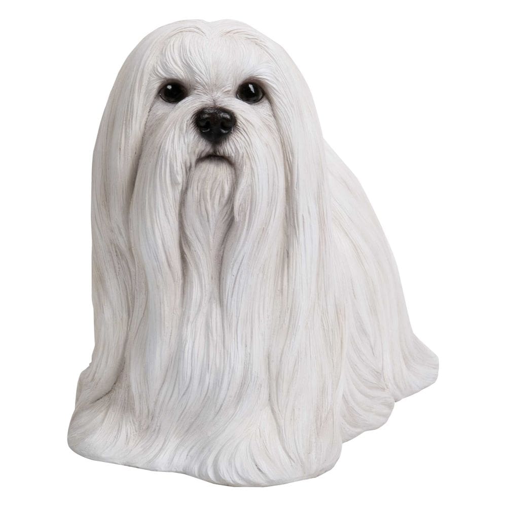 Estatueta de cachorro maltês Hi-Line Gift Ltd, poliresina, interior e exterior