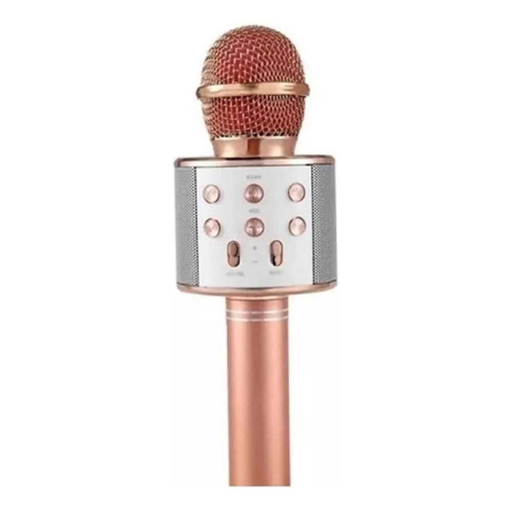 Microfone Sem Fio KTV ws-858L c/ Alto-falante