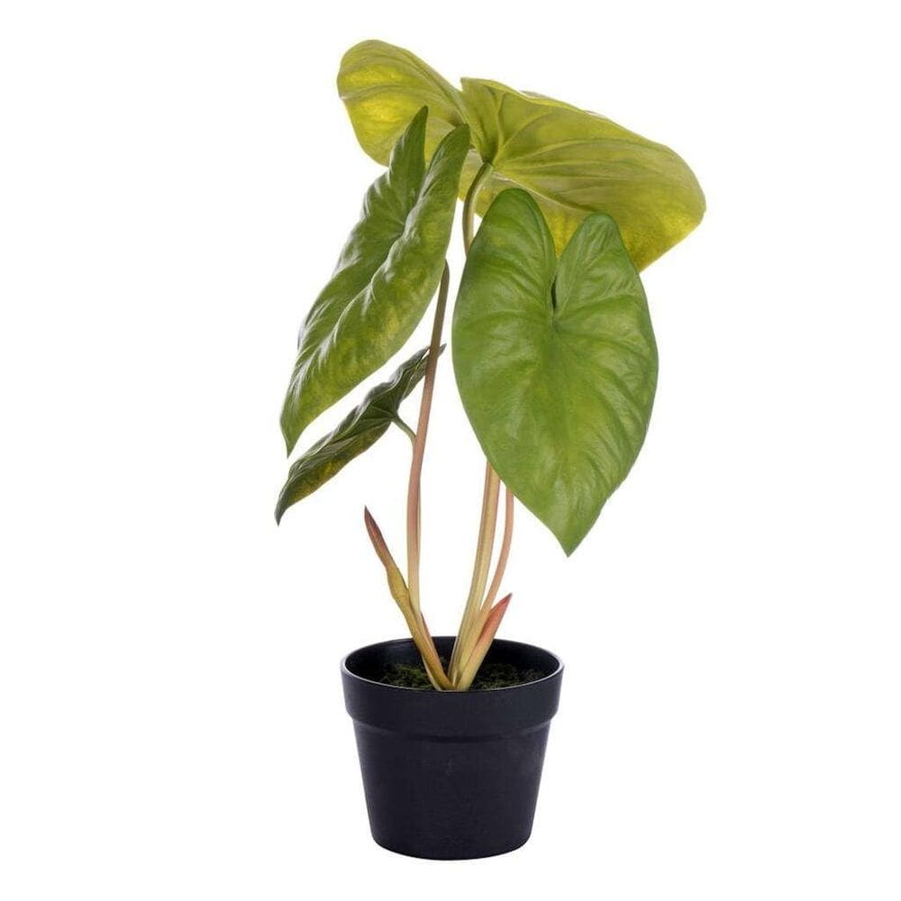 Vaso preto de 46x33 cm para plantas artificiais de Alocasia Vickerman