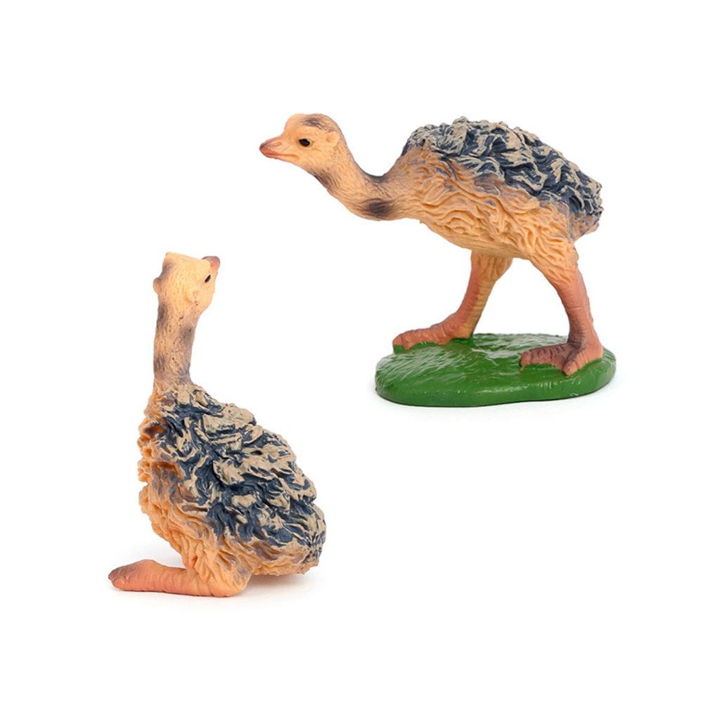 Conjunto de estatuetas realistas de avestruz, PVC, animais selvagens, decoração infantil