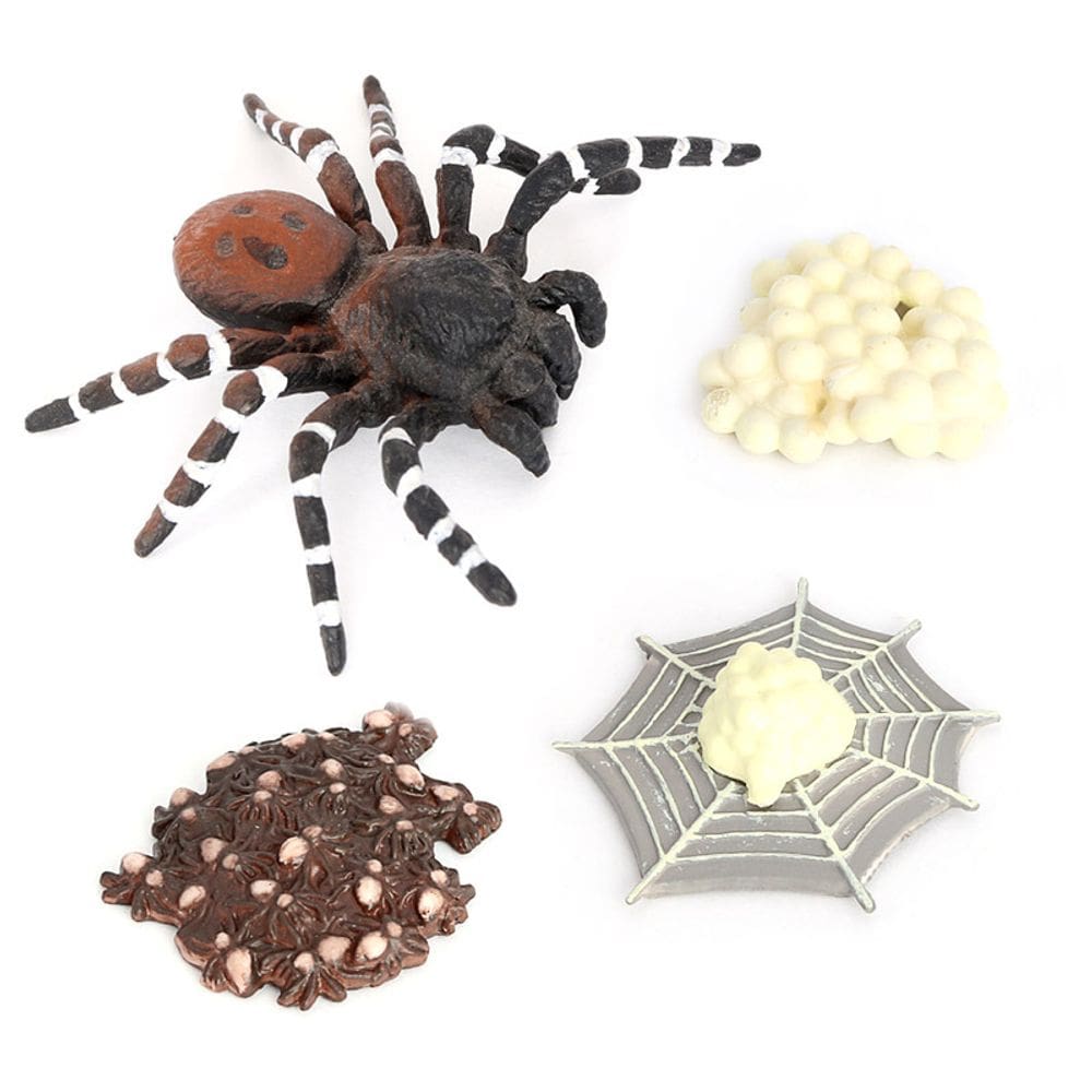 Conjunto de estatuetas Velvet Spider Growth Cycle 4 peças em PVC para crianças
