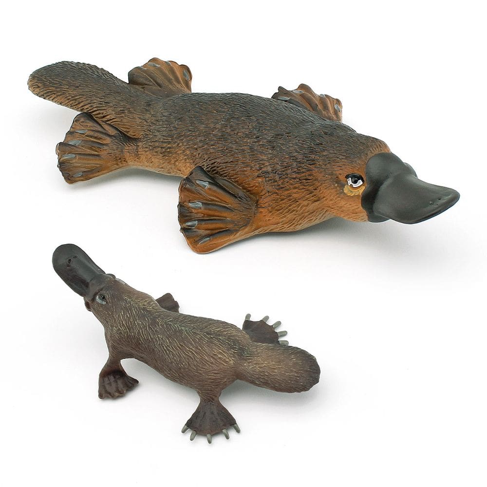 Conjunto de estatuetas Platypus, 2 peças, figuras realistas de mamíferos em PVC