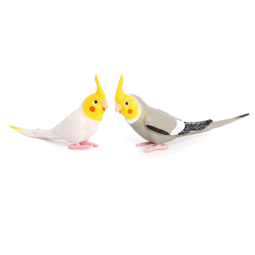 Conjunto de estatuetas Cockatiel Parrot, 7 peças de brinquedo infantil realista em PVC