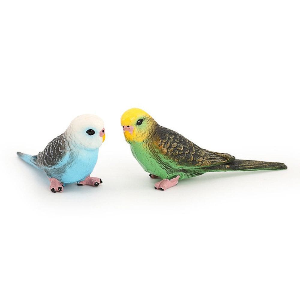 Conjunto de estatuetas Budgie Parakeet, 2 peças de PVC realista para crianças