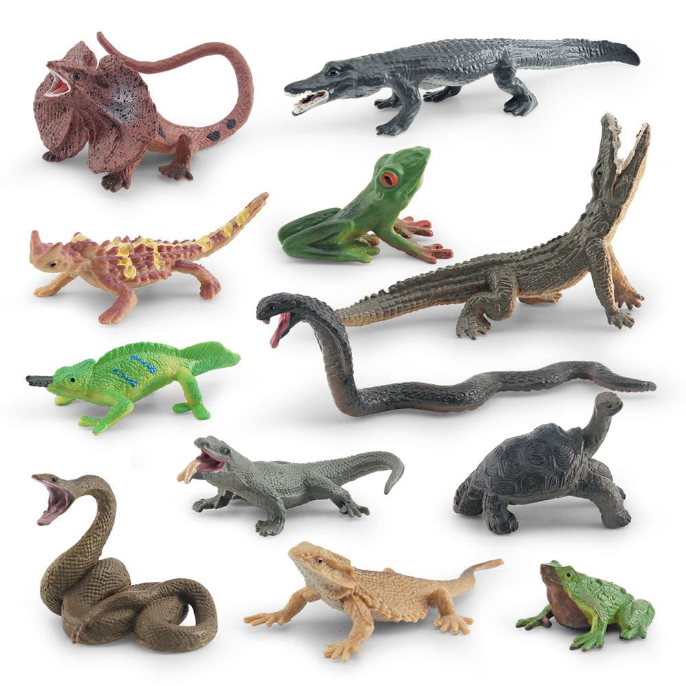 Conjunto de bonecos realistas de anfíbios e répteis de 12 peças para crianças