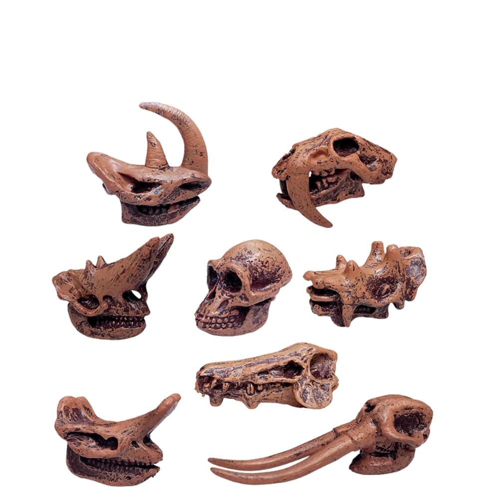 Conjunto de estatuetas de crânio de mamífero pré-histórico, 8 peças para crianças de mais de 3 anos