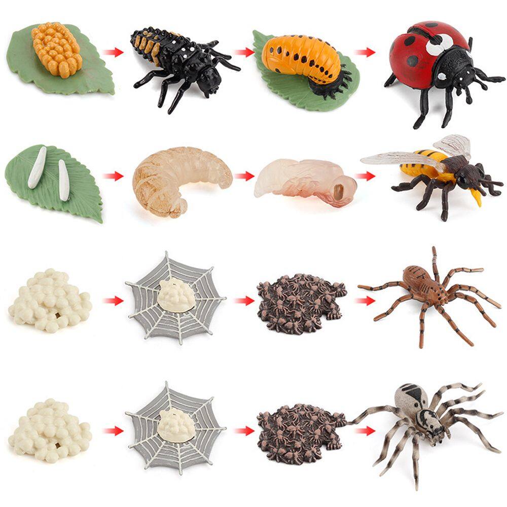 Conjunto de figuras de ciclo de vida de insetos realistas de 16 peças de brinquedo infantil de PVC