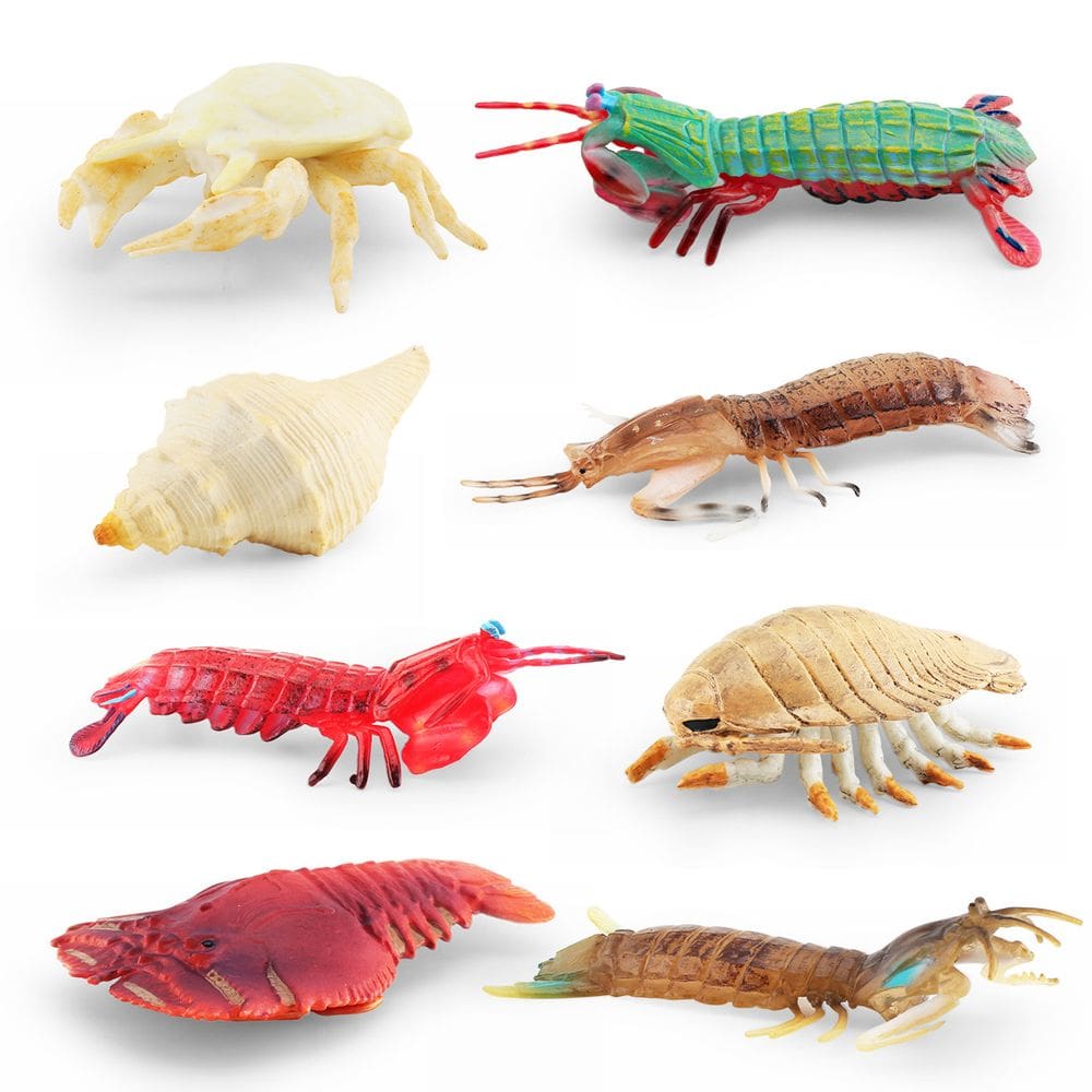 Conjunto de estatuetas Ocean Creature, 8 peças realistas de vida marinha em PVC