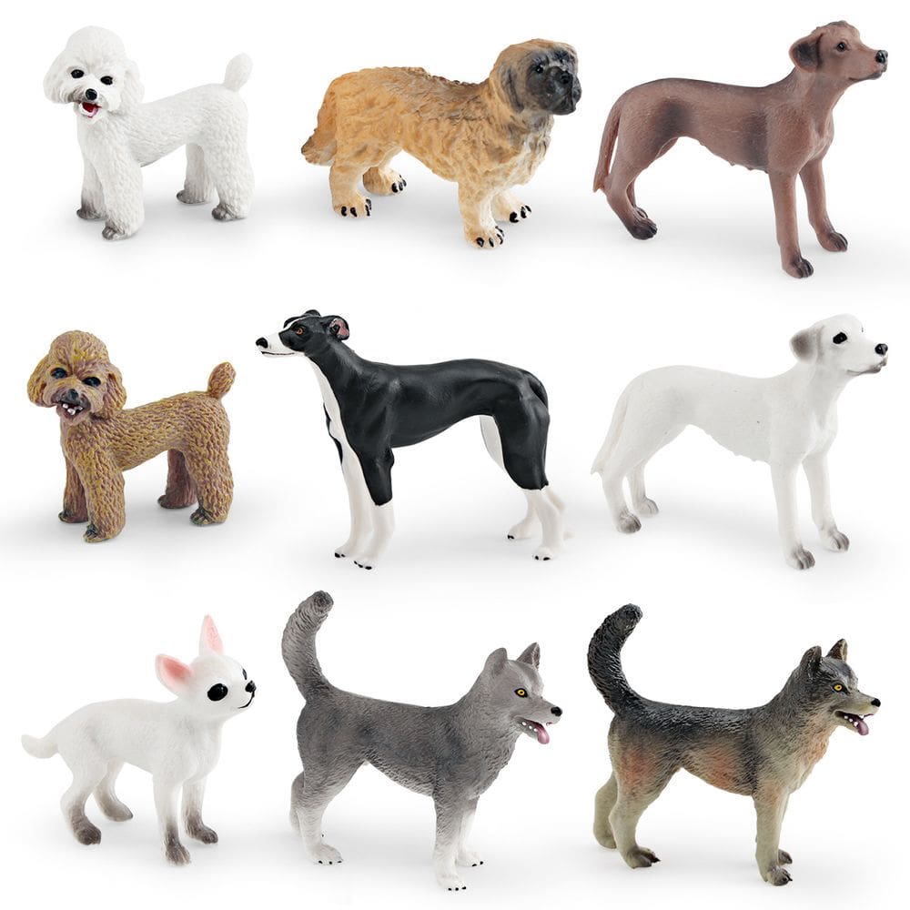Conjunto de estatuetas realistas para cães, 9 peças, plástico, PVC, decoração infantil