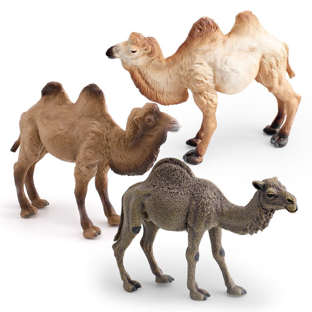 Conjunto de estatuetas Realistic Camel PVC Desert Animal Kids 3+