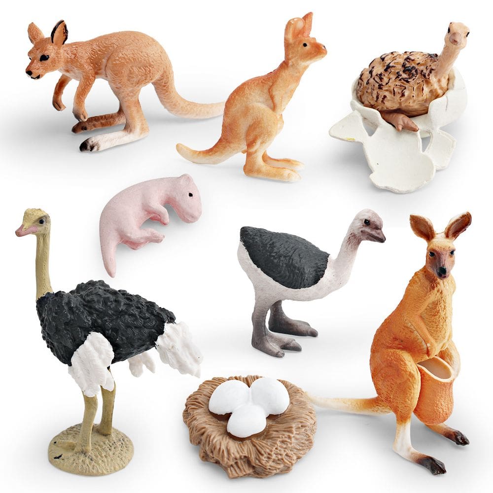 Conjunto de bonecos Wildlife Life Cycle, 8 peças de PVC, modelos de animais para crianças