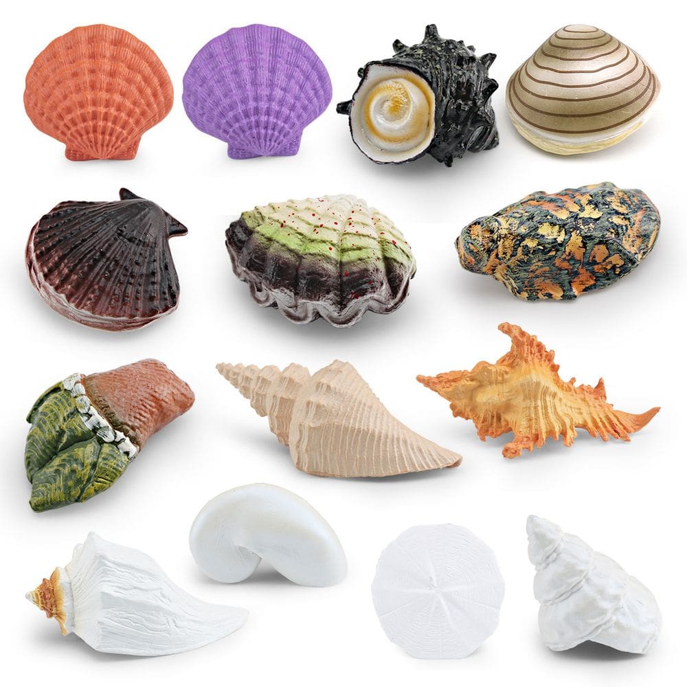 Conjunto de estatuetas de conchas marinhas de 14 peças de conchas oceânicas realistas de PVC