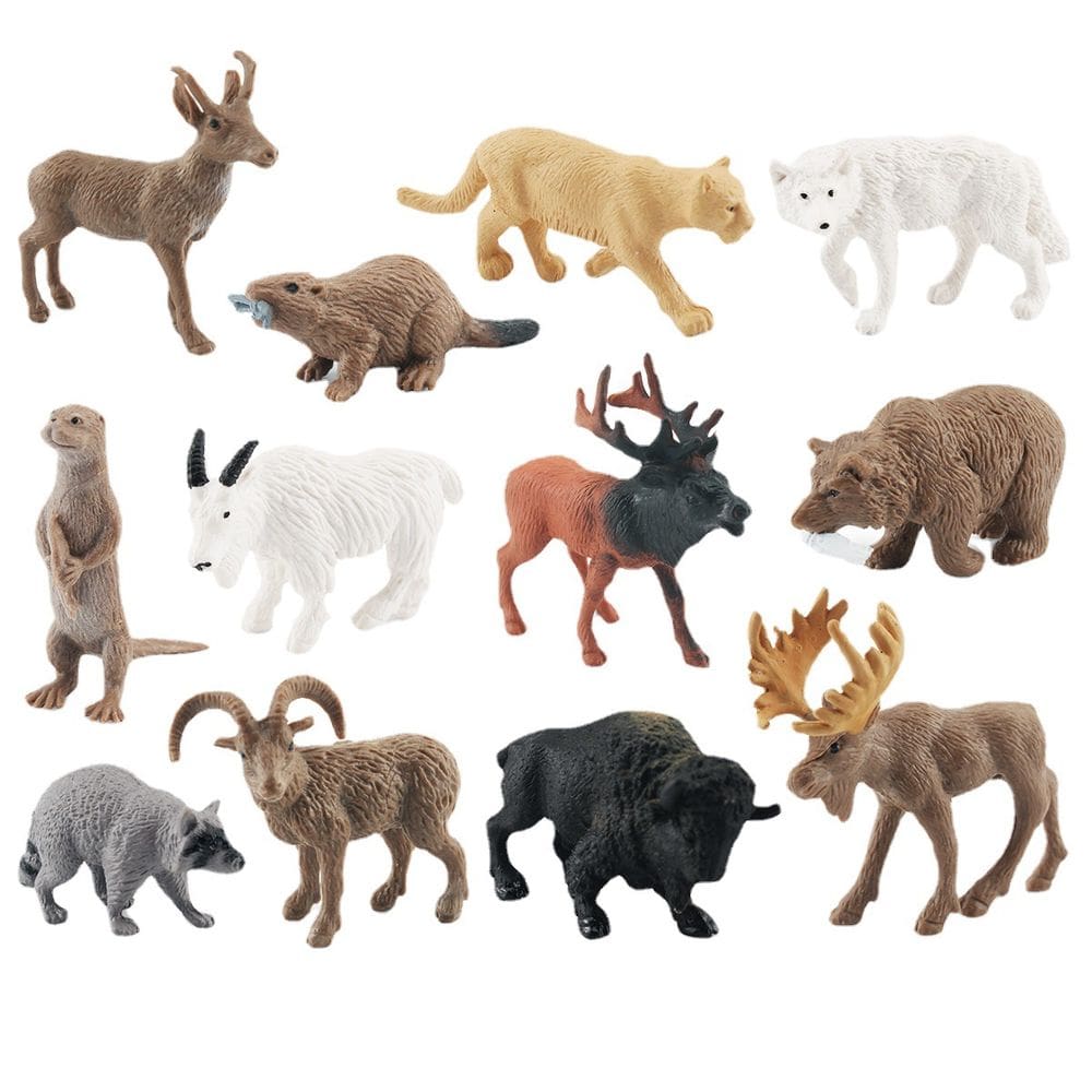 Conjunto de figuras de vida selvagem realista norte-americano, 12 unidades de PVC