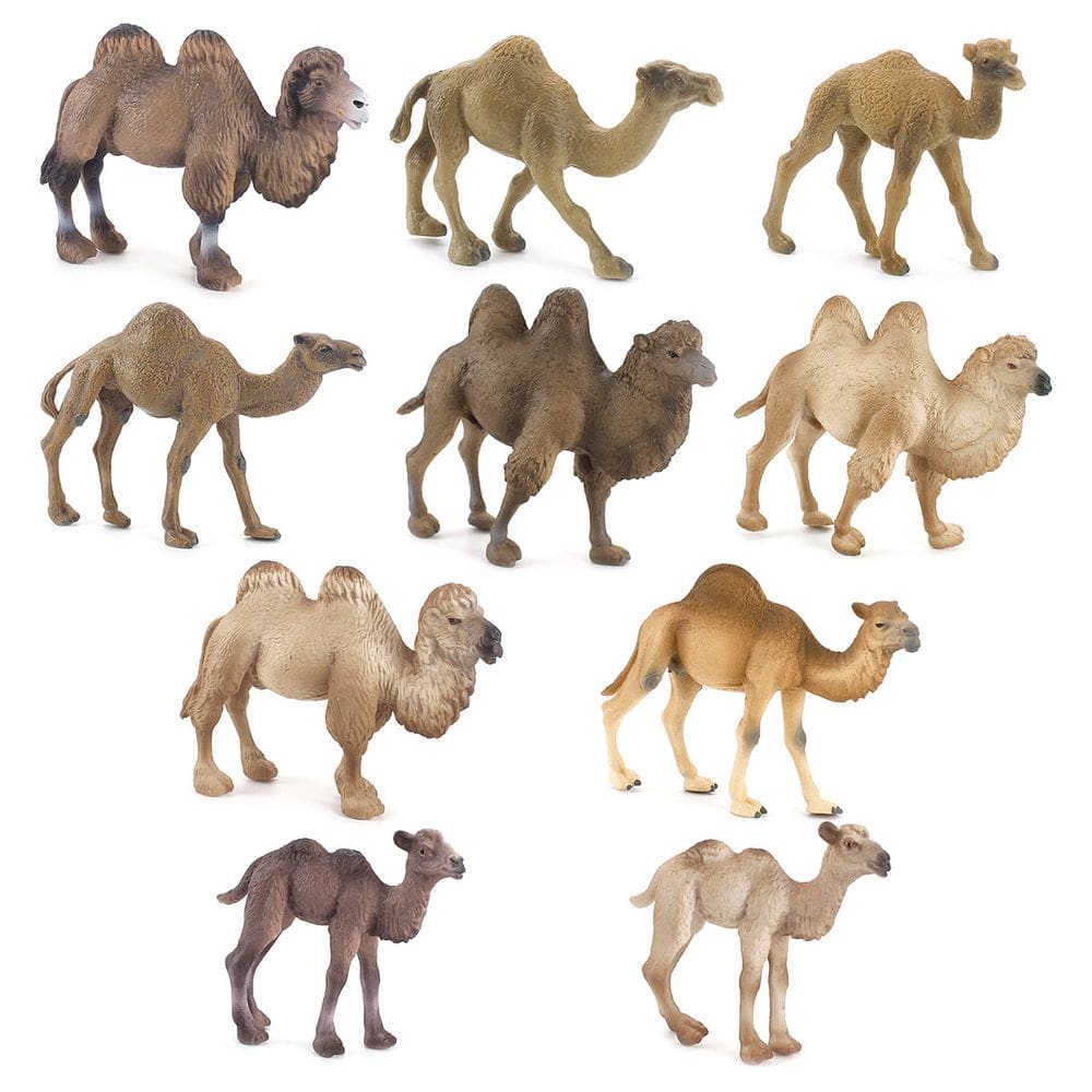 Conjunto de estatuetas Camel, 10 peças realistas de PVC Desert Animal Kids 3+