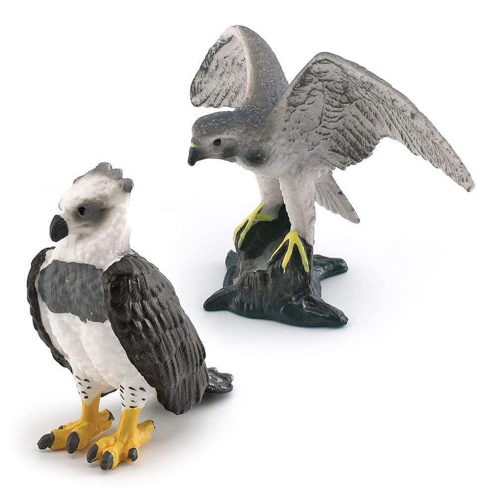 Conjunto de figuras: pássaro realista, harpia, águia e francelho americano