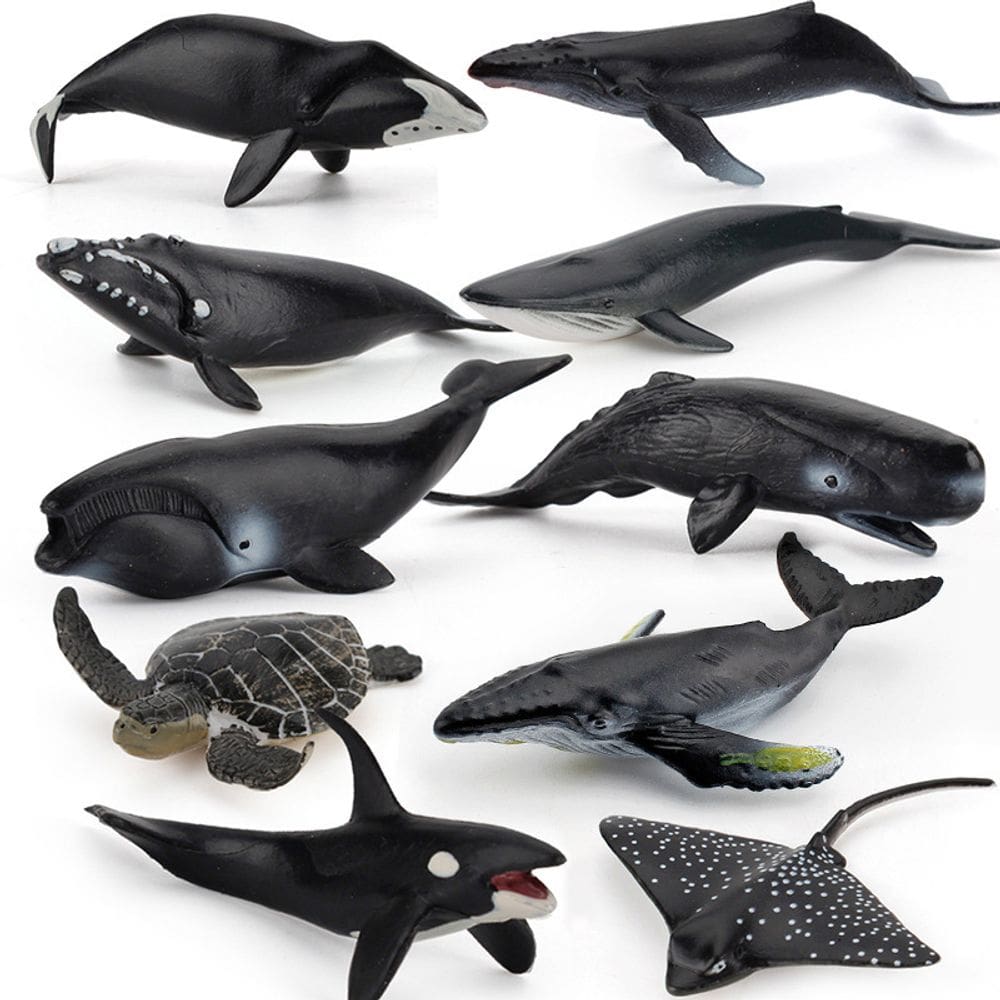 Conjunto de figuras de animais oceânicos, 9 peças de brinquedos realistas de vida marinha em PVC