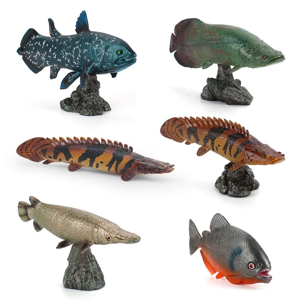Conjunto de figuras de peixes oceânicos, 6 modelos realistas de vida marinha