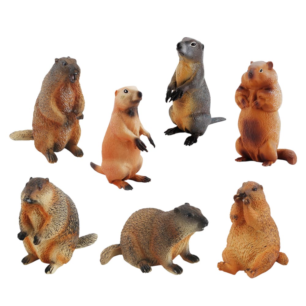 Conjunto de estatuetas Groundhog Squirrel PVC realista 7 unidades para crianças a partir de 3 anos