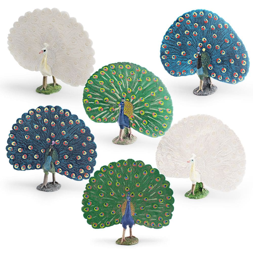 Conjunto de estatuetas Peacock, 6 peças, figuras realistas de pássaros em PVC
