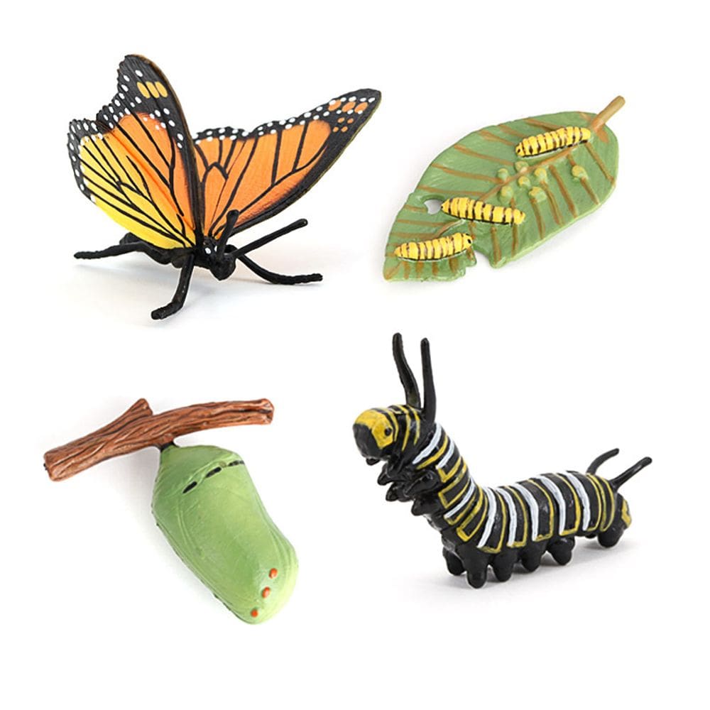 Conjunto de bonecos Monarch Butterfly Life Cycle, 4 peças de PVC Education