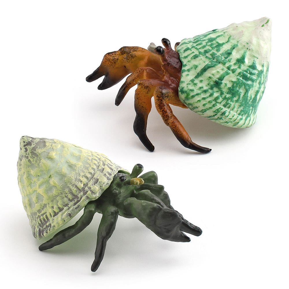 Conjunto de estatuetas realistas de caranguejo eremita em PVC Ocean Animal Kids