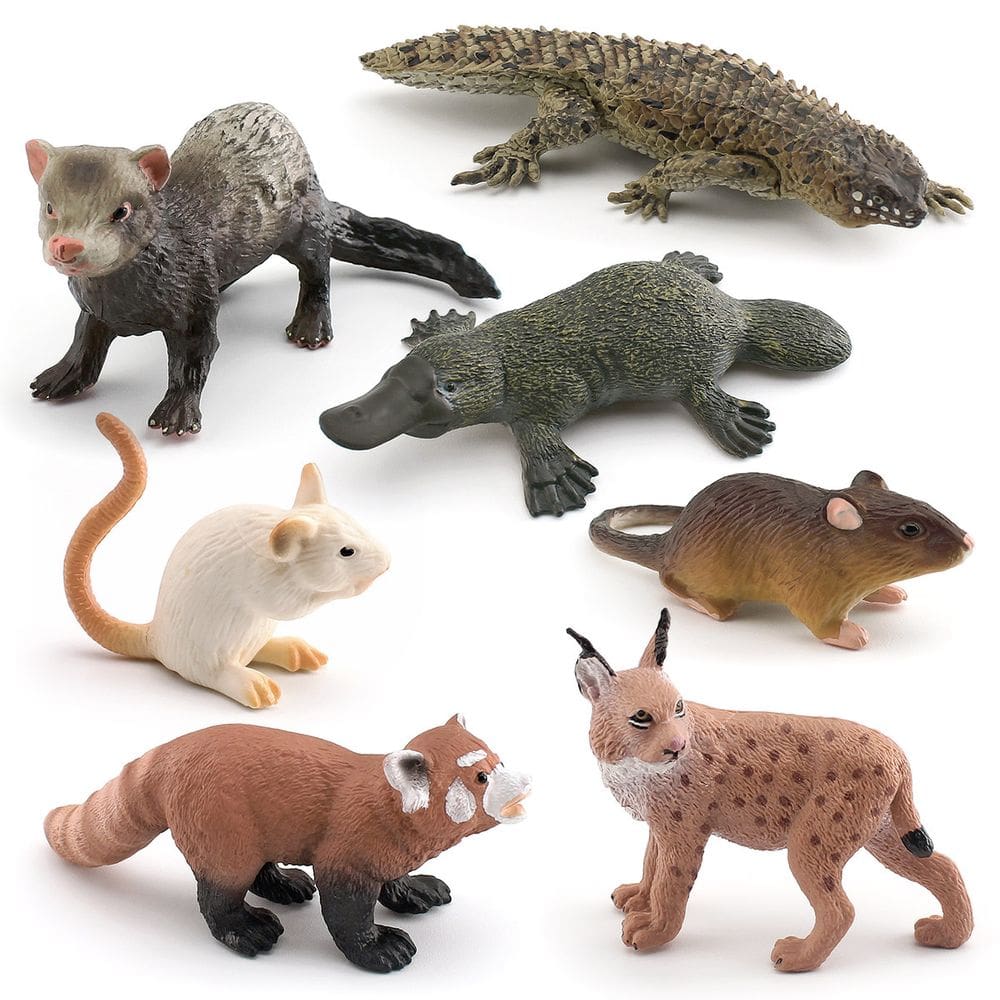 Conjunto de figuras de animais selvagens de 7 peças, modelos de PVC para crianças