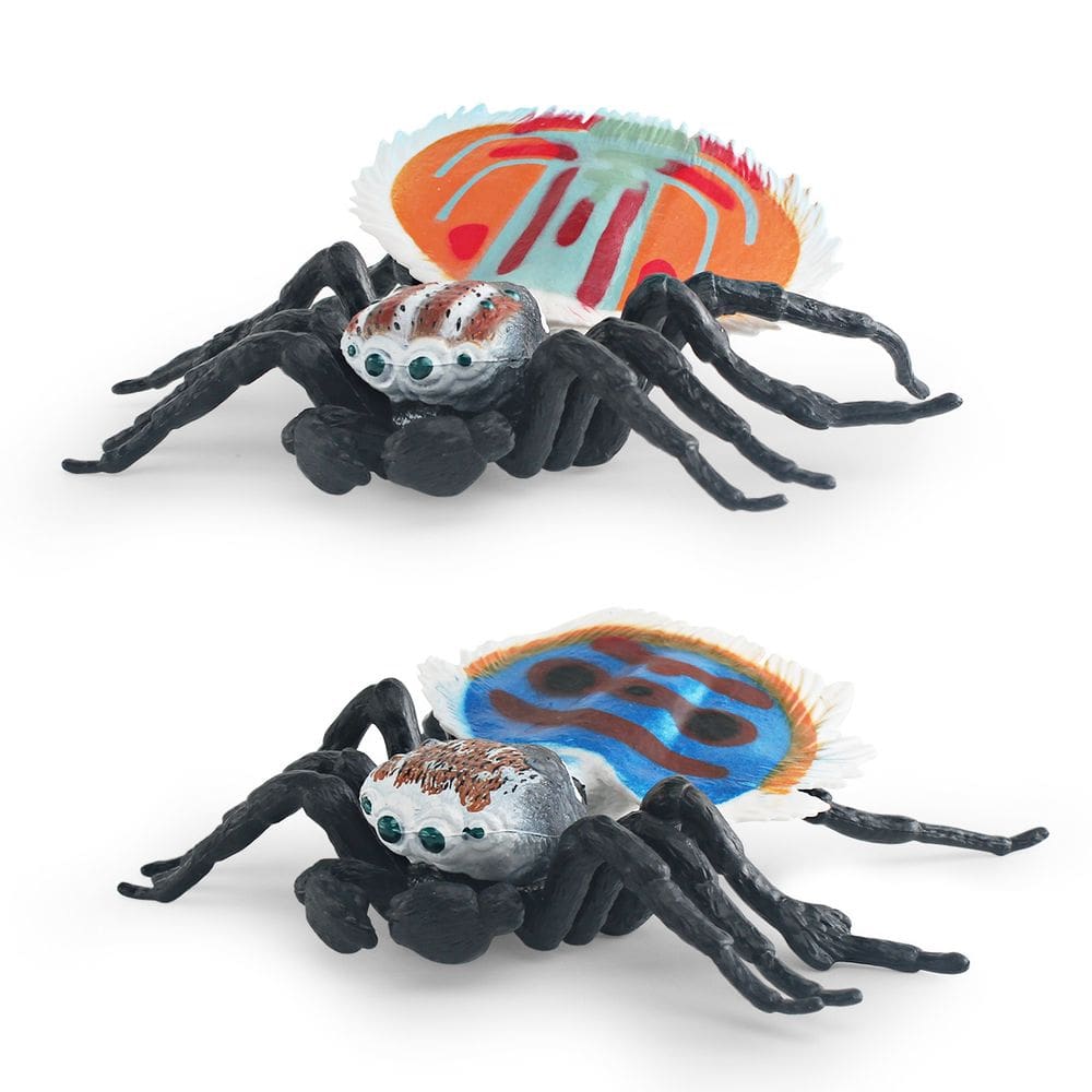 Estatueta de brinquedo realista Peacock Spider em PVC para crianças, 2 peças