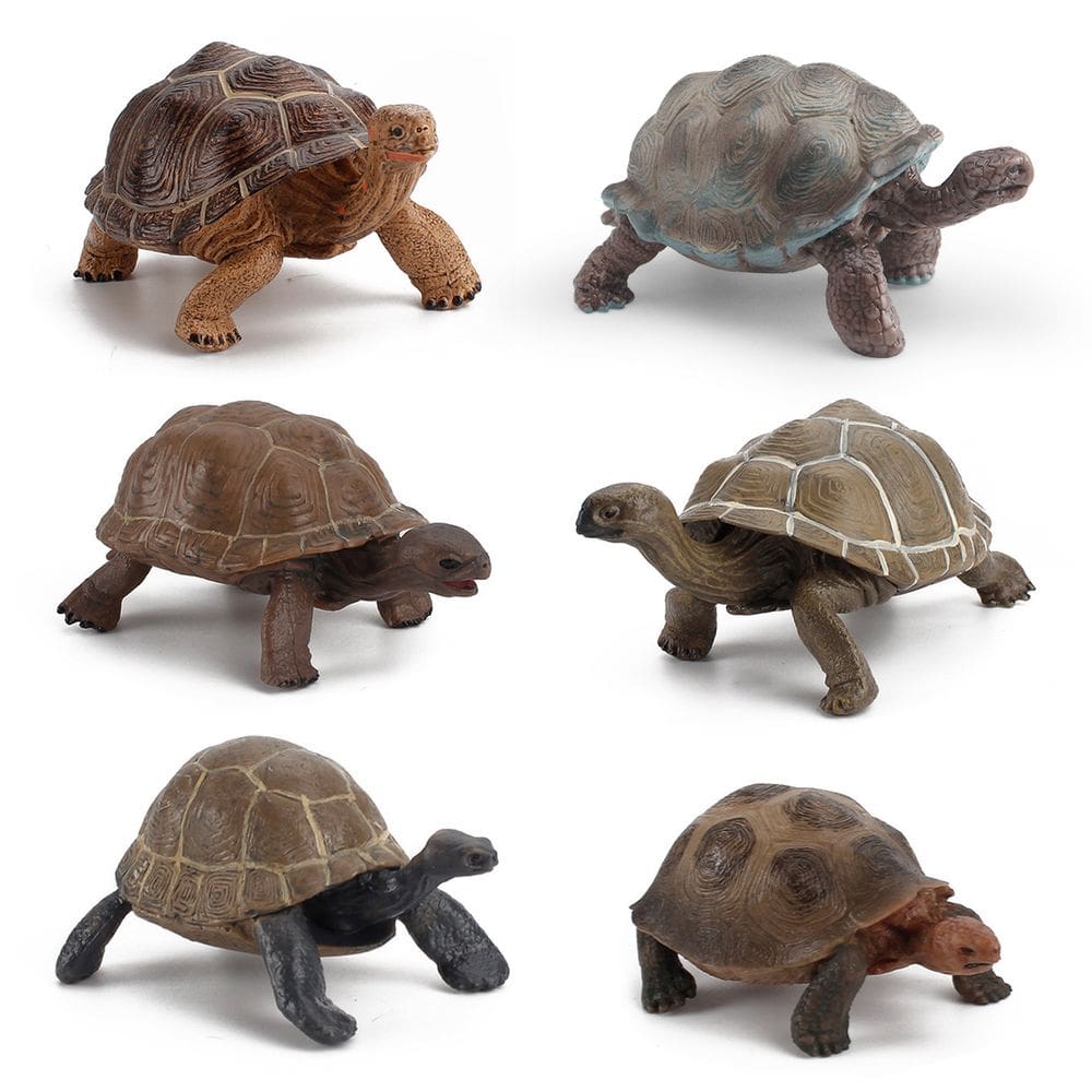 Conjunto de estatuetas Giant Tortoise, 6 peças de PVC realista para crianças