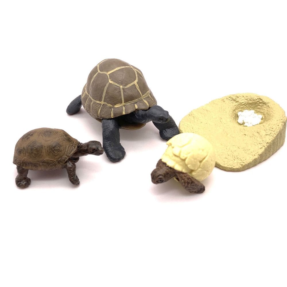 Conjunto de bonecos Turtle Life Cycle de 4 peças de PVC para crianças