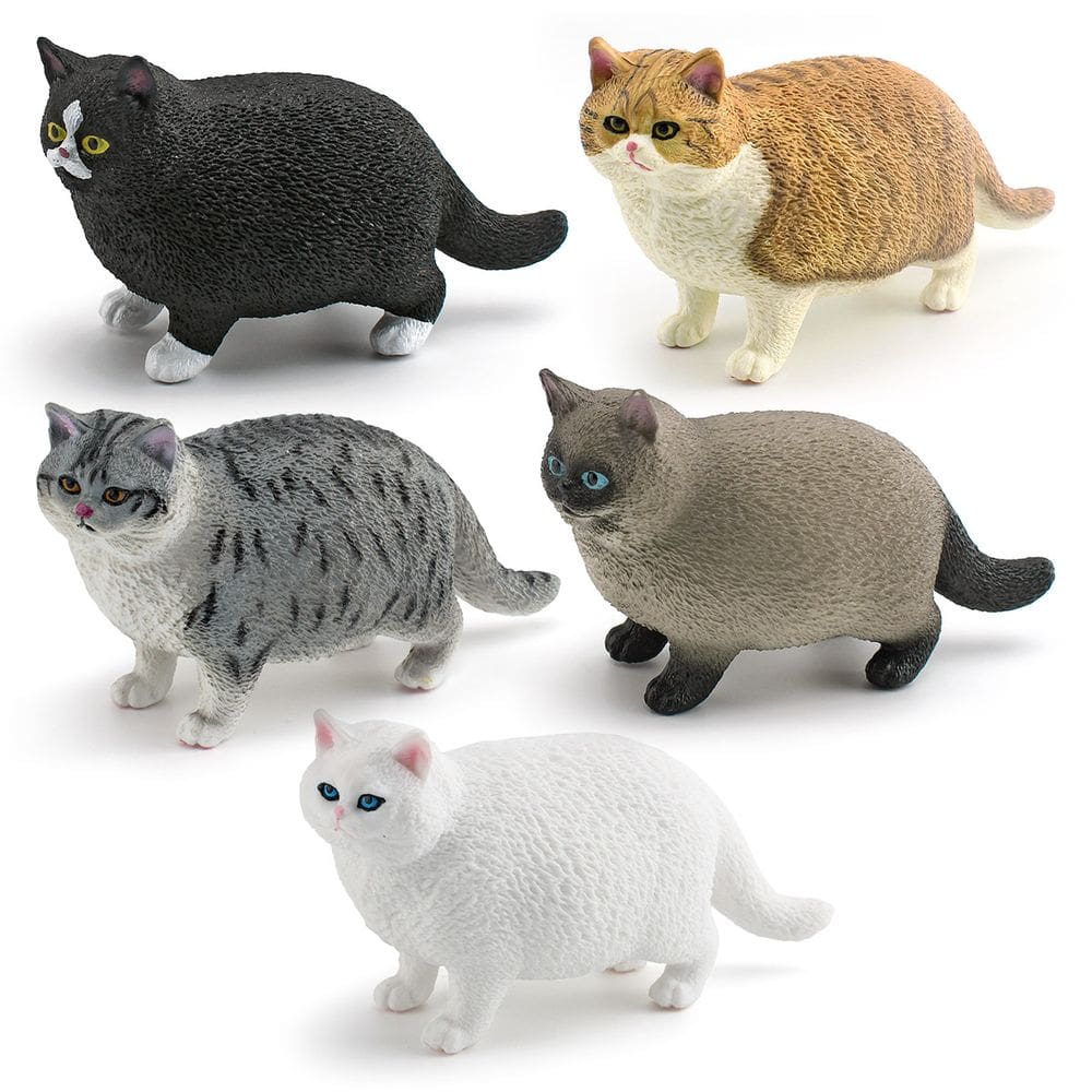 Conjunto de bonecos realista para gatos, 5 peças, PVC, siamês, preto, gato, crianças