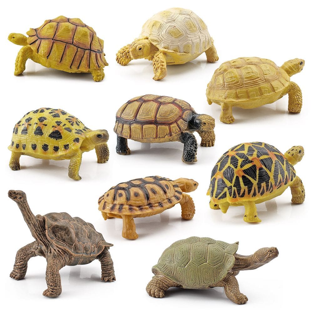 Conjunto de estatuetas Realistic Turtle PVC Amphibian Wild, 9 peças para crianças