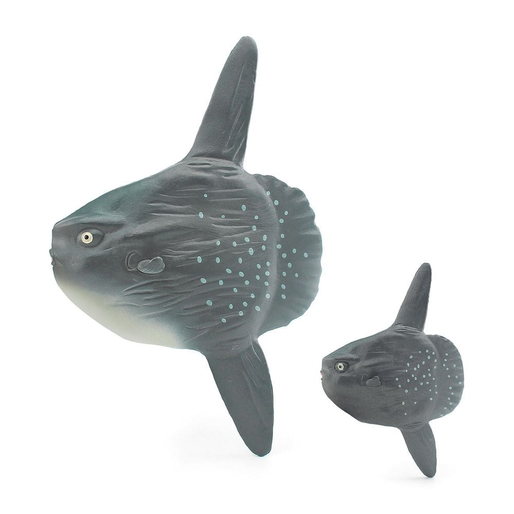 Estatueta de peixe Celacanth Realista em PVC Pré-Histórica x2 Crianças