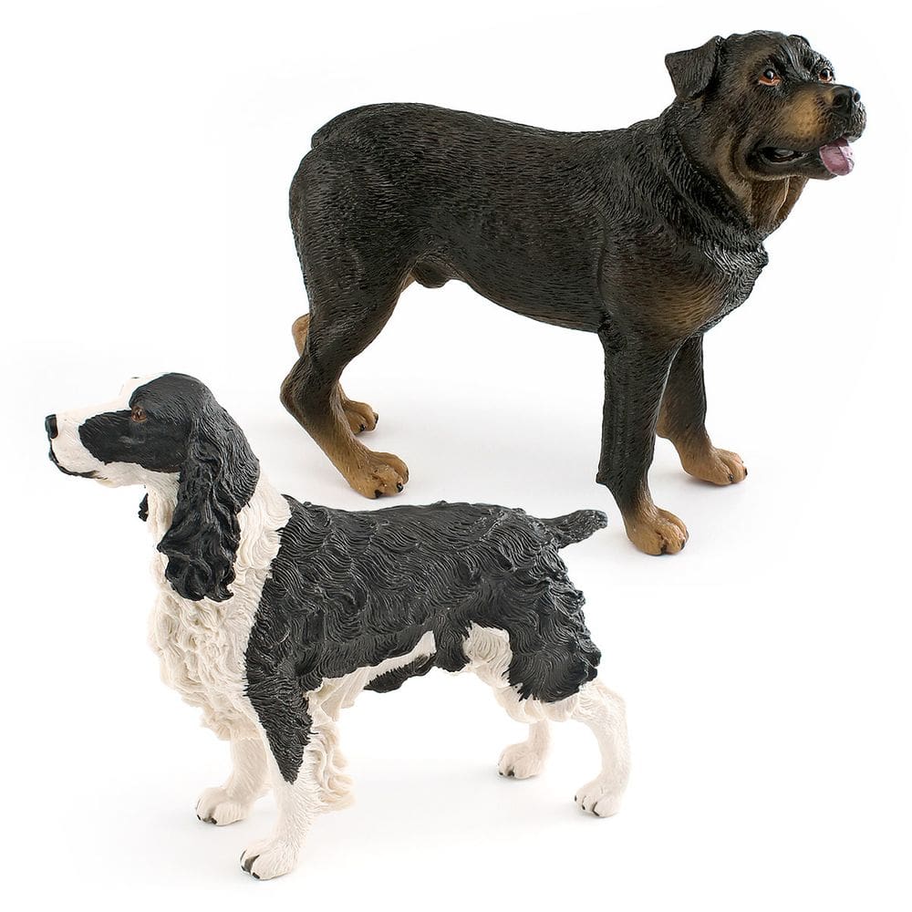 Conjunto de estatuetas realistas para cães, PVC, Springer Spaniel e Rottweiler