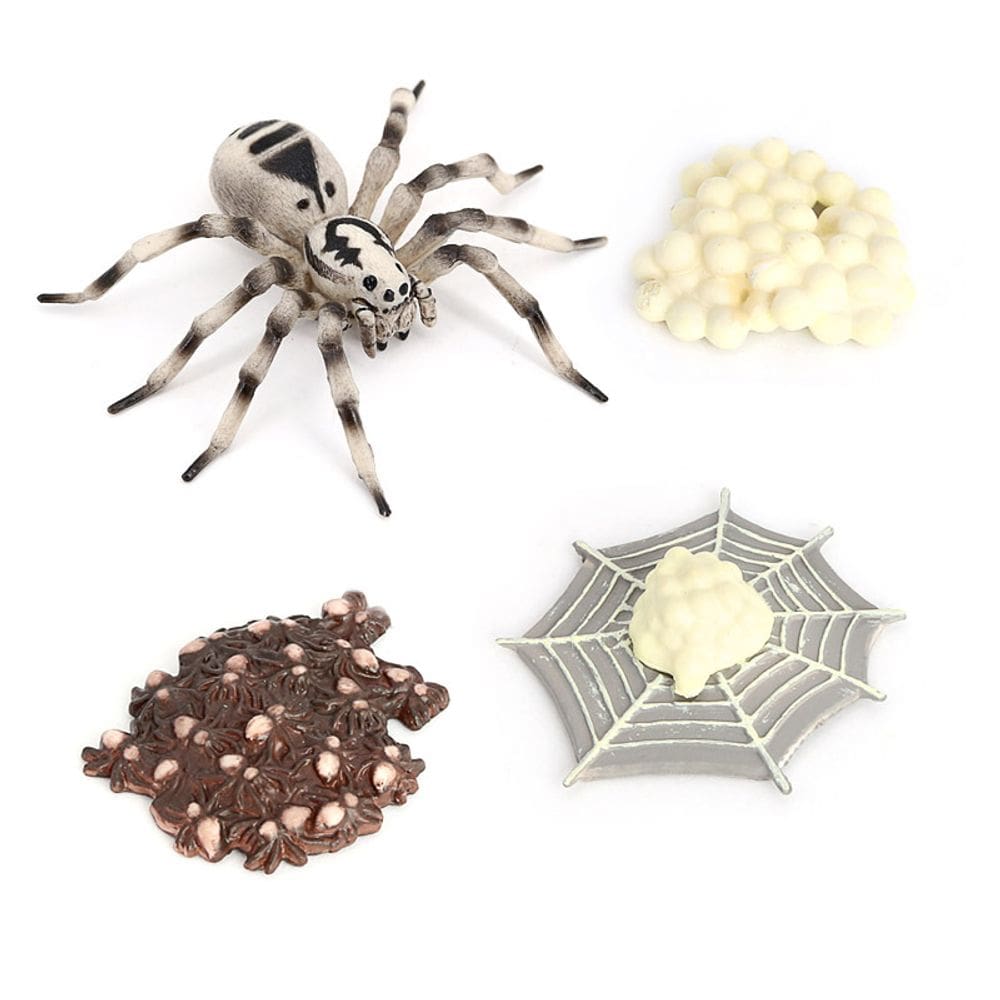 Conjunto de estatuetas Realistic Wolf Spider Life Cycle x4 Kids Toy
