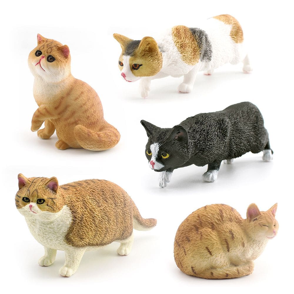 Conjunto de bonecos de gatos em miniatura, coleção realista de 5 peças em PVC