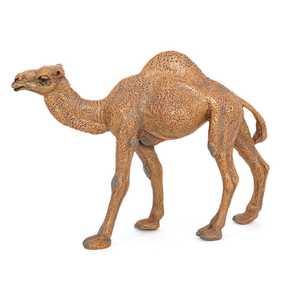 Estatueta de camelo, modelo de animal de PVC realista para crianças