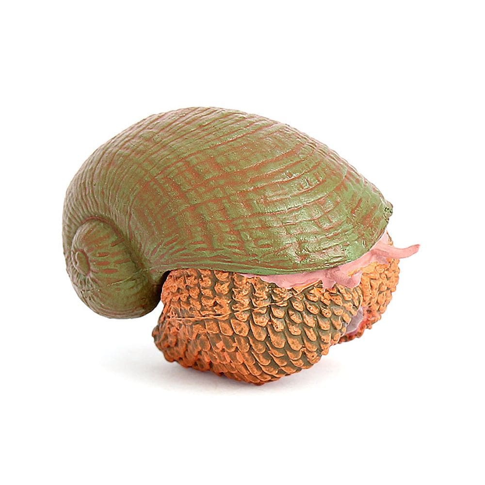 Estatueta de caracol marinho realista em PVC modelo infantil