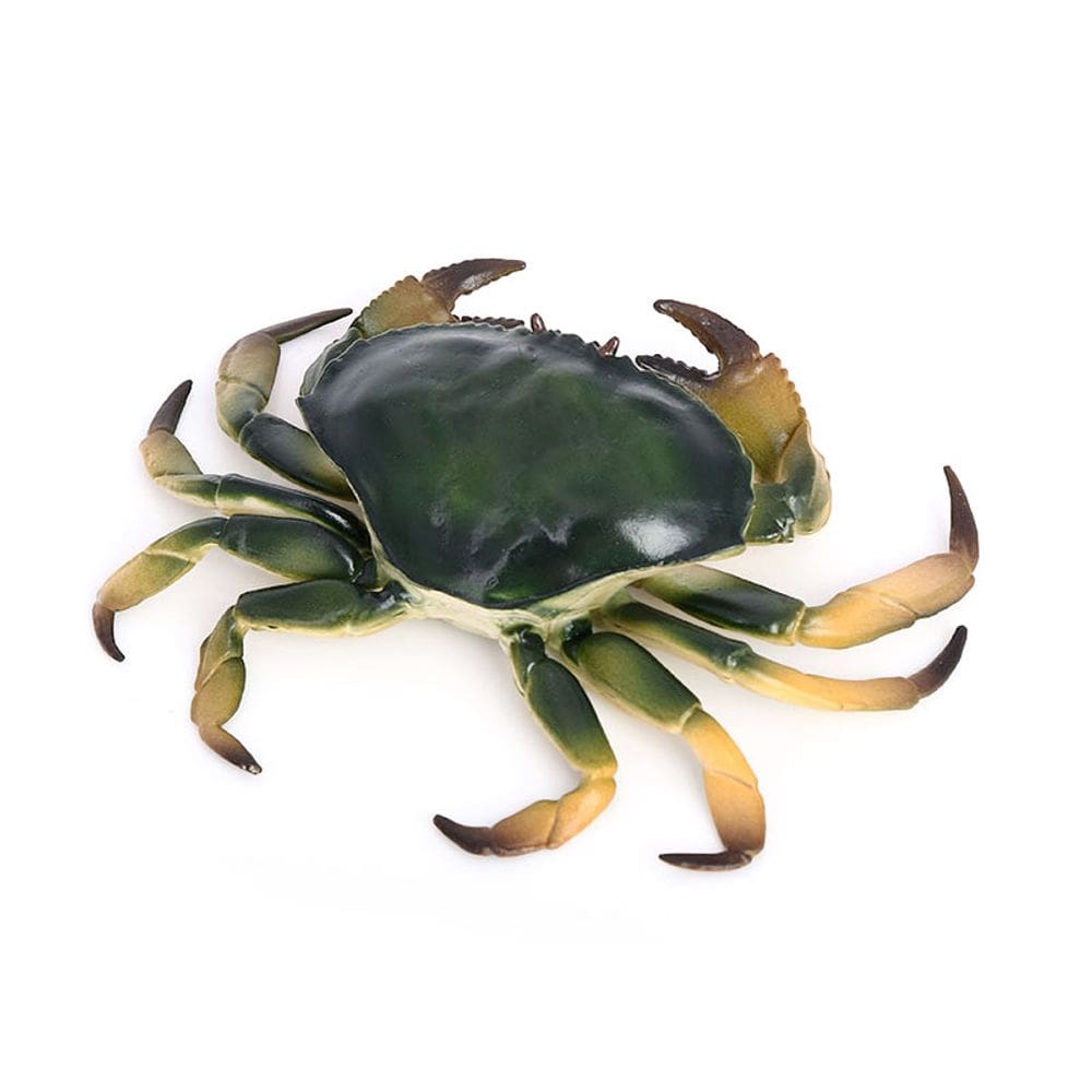 Estatueta realista de caranguejo vermelho, modelo de animal oceânico de plástico