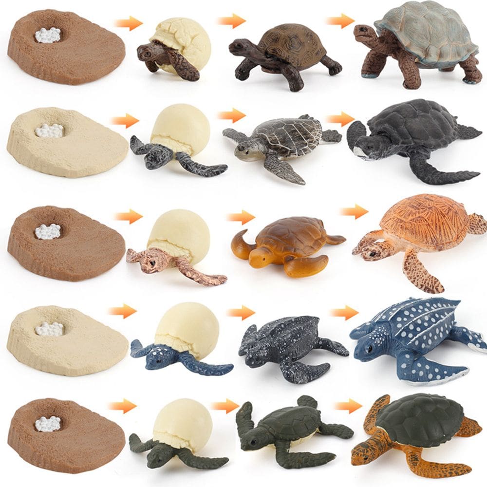 Conjunto de bonecos Sea Turtle Life Cycle de 20 peças para crianças